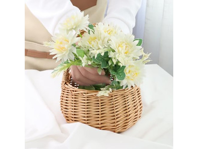 Sac à dos de pique-nique pour vin et fromage, panier pliable, grand avec couvercle